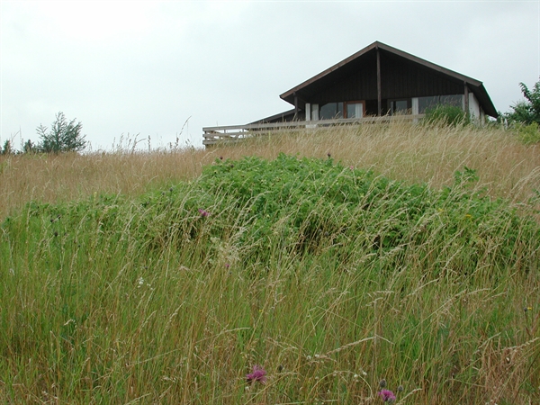 Sommerhus til 6 personer ved Horne Sommerland