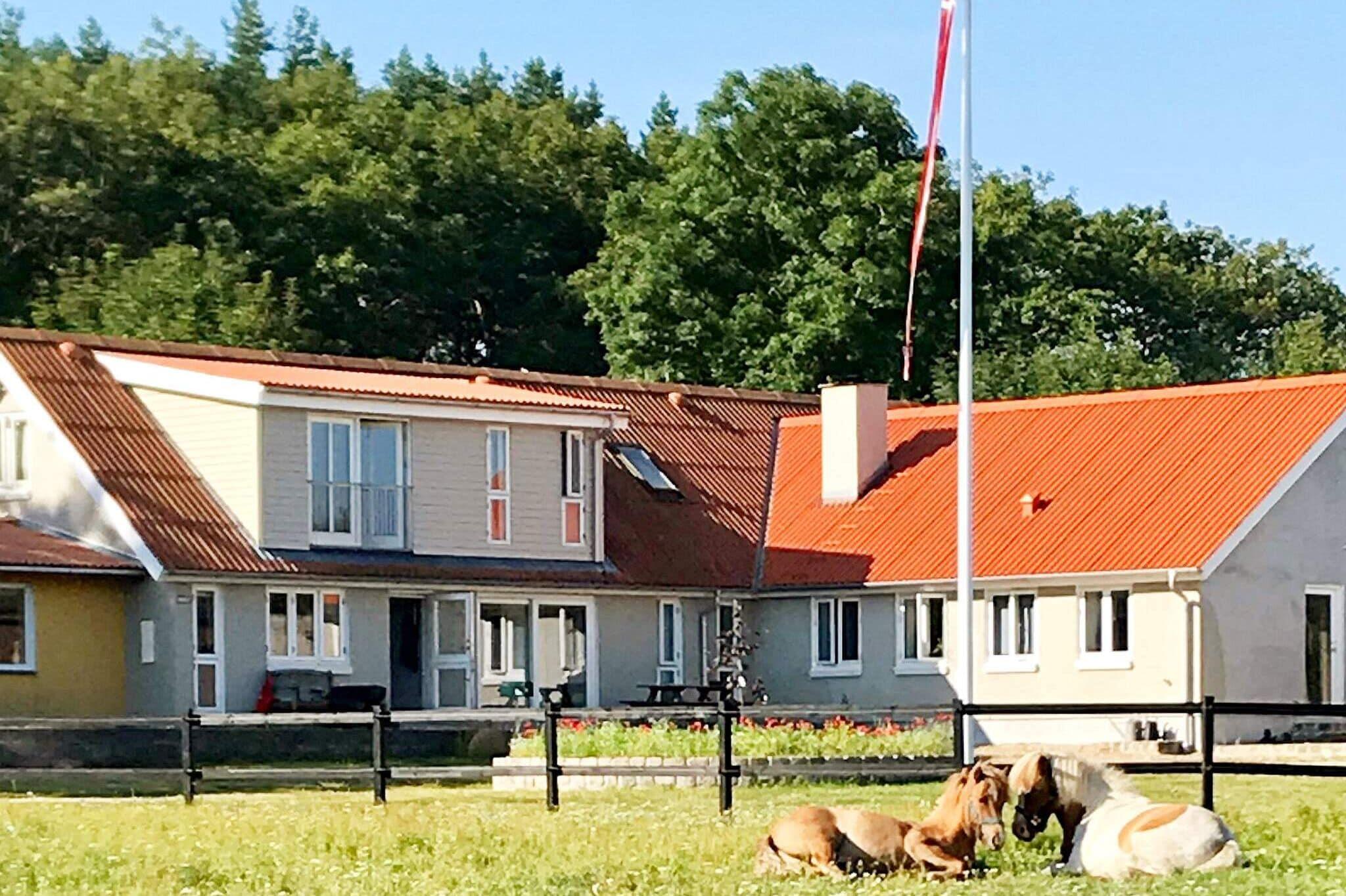 Sommerhus til 4 personer ved Frederikshavn